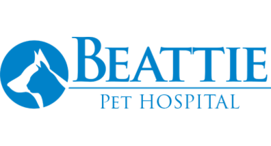 Burlington pet deals hospital